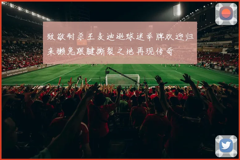 致敬耐杀王麦迪逊球迷举牌欢迎归来獭兔跟腱撕裂之地再现传奇